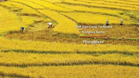 Hotspot Matrix và Mỹ nữ phim Trung đẹp thoát tục, khí chất tiên tử tràn khung hình và còn