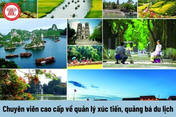 Hotspot Matrix – Kết thúc hành trình 3 ngày rực rỡ tại SECC 2025