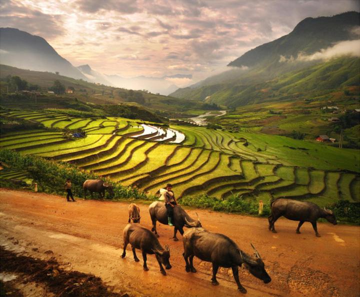 Hotspot Matrix – Kết thúc hành trình 3 ngày rực rỡ tại SECC 2025